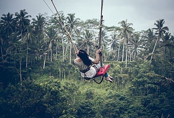 img-06-free-img.jpg Img 06 Free Img