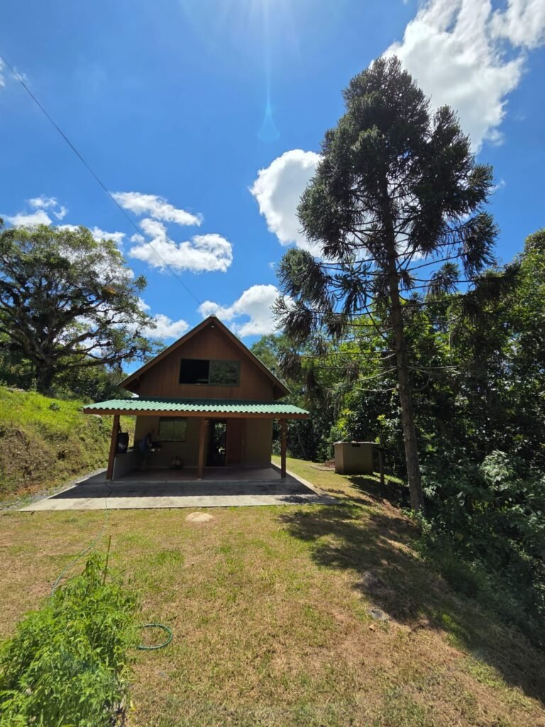 img-01-free-img whatsapp image 2026 02 19 at 17.12.37